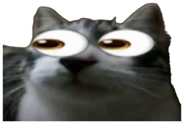 Grey cat with massive glowing cartoon eyes staring in absolute stunned disbelief sticker