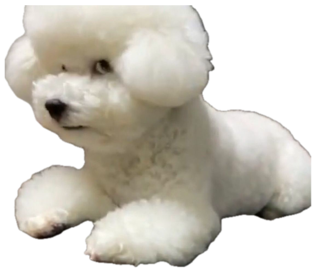 A fluffy white Bichon Frise lounging on a leather couch, calm and content sticker
