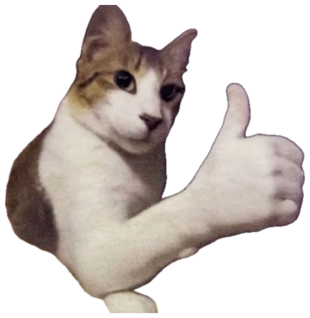 Calico cat giving a confident thumbs-up with its paw sticker