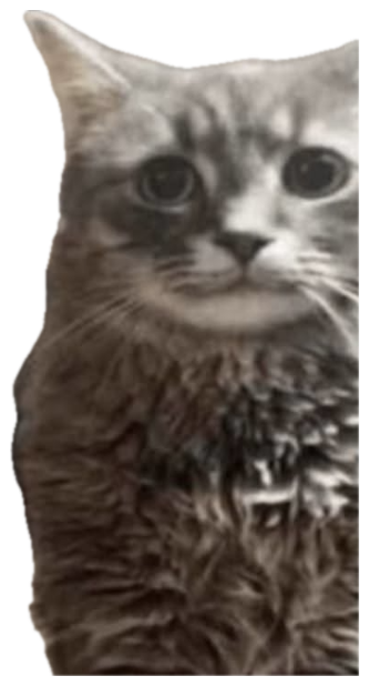 Wide-eyed tabby cat with a speech bubble saying '.....glup' in a black-and-white photo sticker