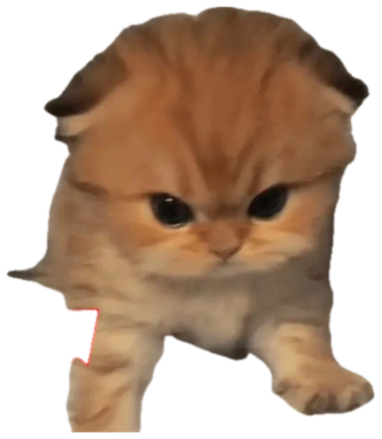 Fluffy orange kitten with a furious little scowl captioned 'Fueled by rage', red arrows pointing at it sticker