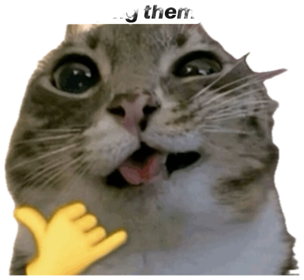 Wide-eyed excited cat with text 'I think i forgot how to flirt I ended up bullying them' sticker