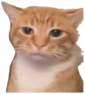 Orange tabby staring at the camera with a tired, done-with-it expression sticker