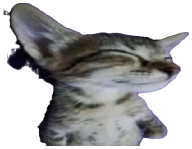 Sleepy tabby kitten with eyes shut captioned 'i'll do it when i get home' / 'me at home:' sticker