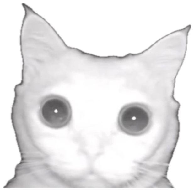 Wide-eyed white cat staring straight into a night-vision camera, captioned 'looks at you with my autistic eyes' sticker