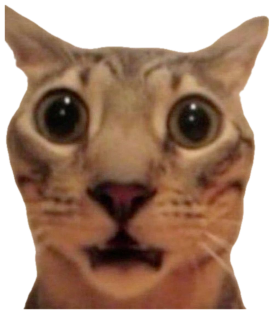 Tabby cat with enormous terrified eyes and a small open mouth sticker