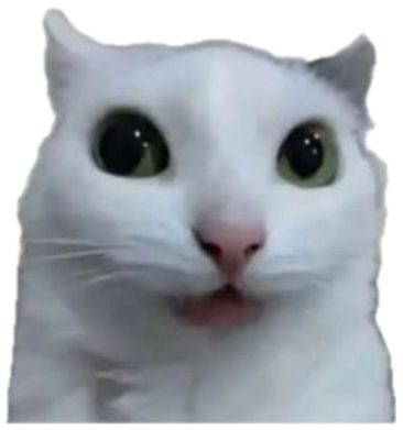 Wide-eyed cat in front of a huge explosion captioned 'My reaction to that information' sticker