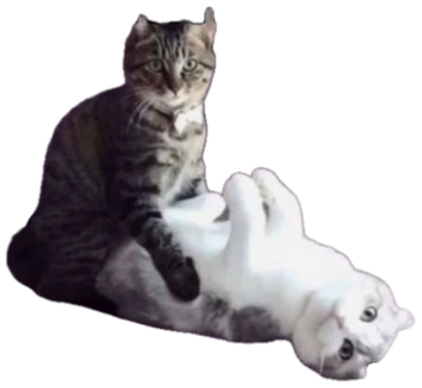 Tabby cat sitting on a white cat with text 'Uummmmmm Me n you?' — a bold proposal sticker