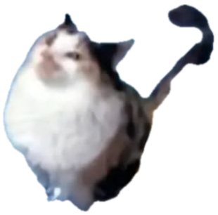 A fluffy cat photoshopped blasting off into space like a rocket over Earth sticker