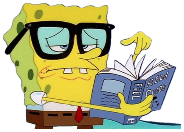 SpongeBob in oversized nerd glasses reading a Field Guide with a deeply skeptical squint sticker