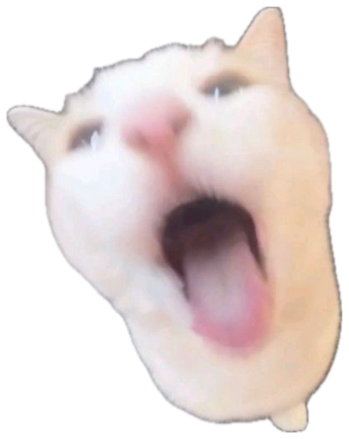 White cat yelling straight up at the camera, captioned 'im going to eat you' sticker
