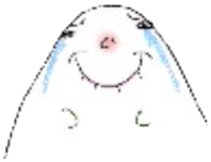 Minimalist crying blob doodle with a wobbly smile and tears welling up sticker