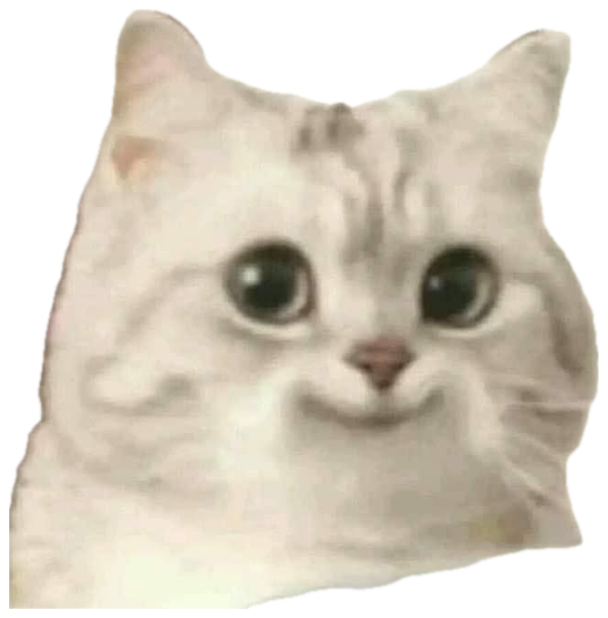 White fluffy cat with huge eyes and a flower on its head, smiling tightly sticker