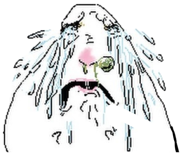 Crude line-drawing face bawling with streams of tears and a runny green nose sticker