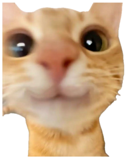 Orange tabby cat shoves its face into the camera with huge blown-out pupils sticker