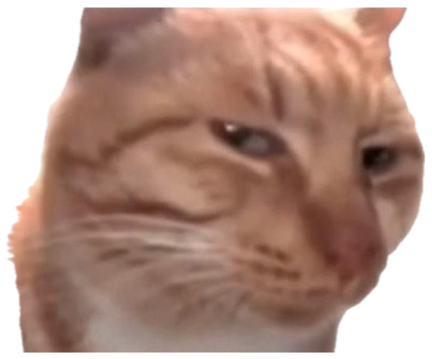Orange tabby cat pressing its squished face against glass with a deeply skeptical side-eye sticker