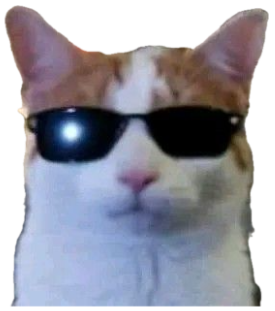 Orange-and-white cat wearing black sunglasses looking effortlessly cool sticker