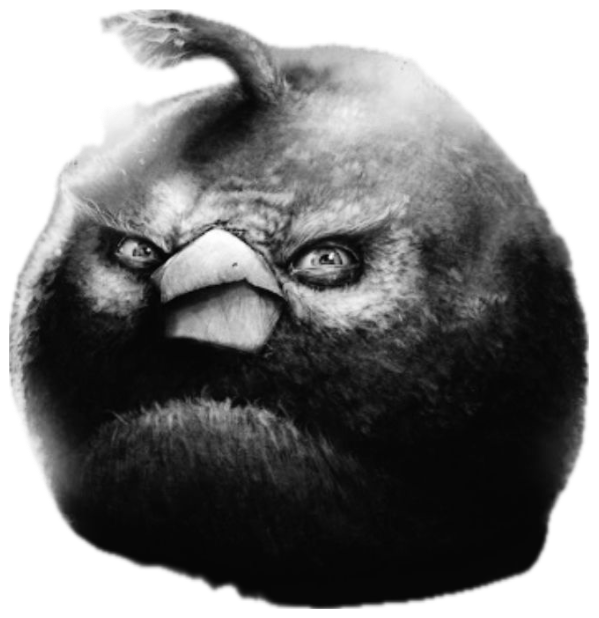Menacing dark portrait of a scowling Angry Birds bird captioned 'Don't even joke lad.' sticker