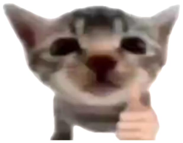 Grinning kitten giving a thumbs up captioned 'i have sent a nuke to your exact coordinates' sticker