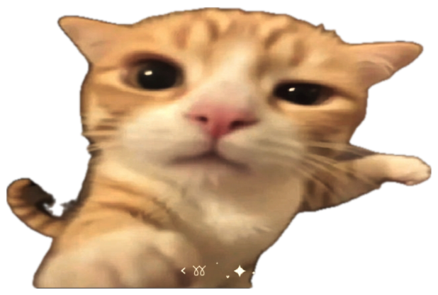 Orange tabby cat staring straight into your soul with giant pupils, rated 1.8M views worth of cute sticker