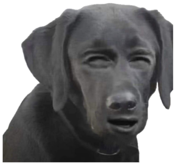 Black Labrador with an eerily human-like face staring sideways in a black and white photo sticker