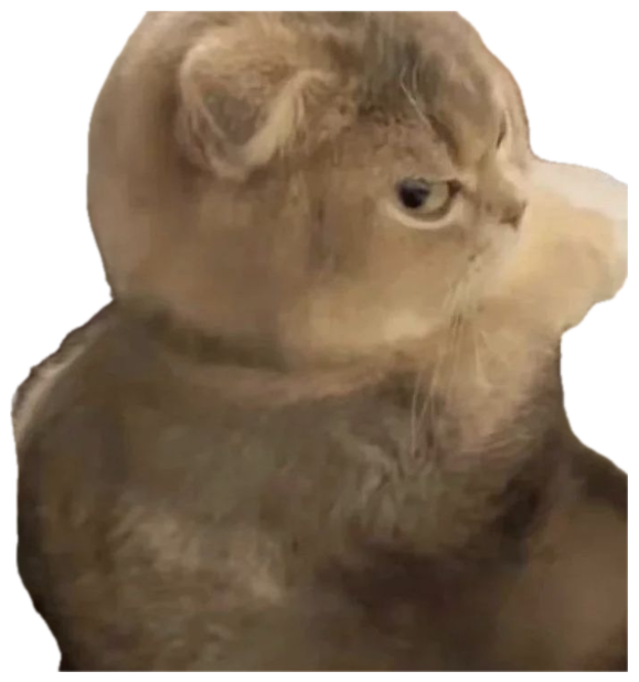 Fluffy Scottish fold cat throwing a slow, deeply unimpressed side-eye sticker