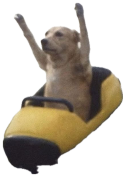Dog riding a roller coaster with both paws thrown up in the air like a thrilled human sticker