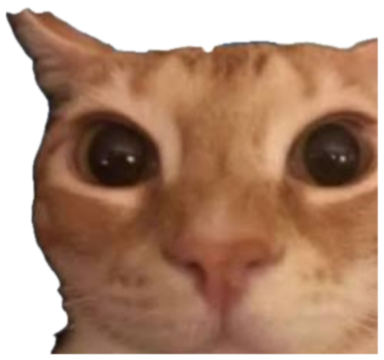 Orange cat staring by a plane window: 'not to be flirty but i would give you the window seat' sticker