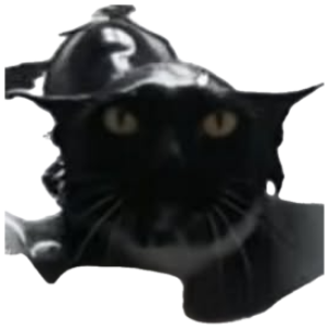 Soaking wet black cat in a small helmet staring dead-eyed into the camera in the rain sticker