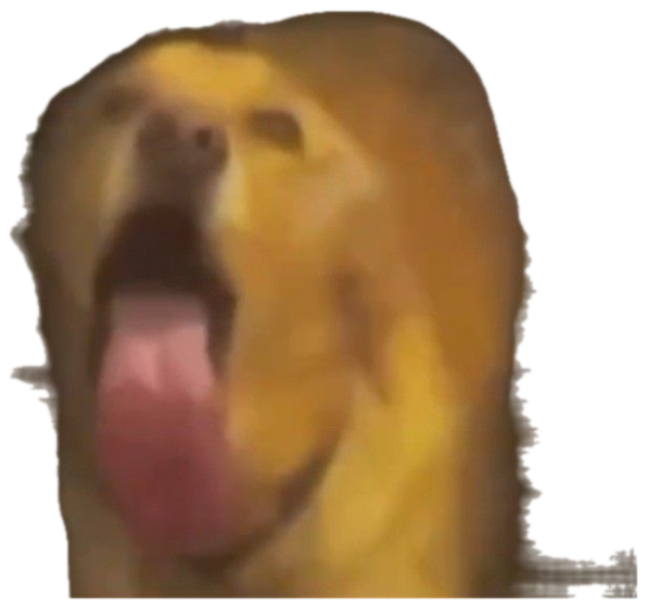 Golden dog pressed against glass with its mouth wide open and tongue out, mid-scream sticker