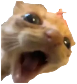 Blurry close-up orange cat mid-yowl with wide eyes and mouth open in shock sticker