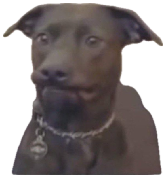 Dark lab mix on a couch giving the most deeply disapproving side-mouth face sticker