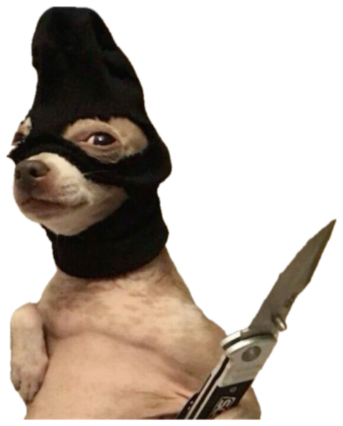 Chihuahua wearing a black ski mask and holding a knife, sitting on a couch like a villain sticker