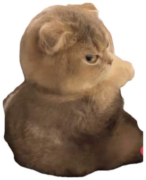 Fluffy Scottish Fold cat sitting loaf-style, giving a withering sideways glare sticker