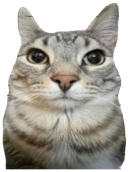 Tabby cat posing solemnly in front of a police lineup height chart sticker