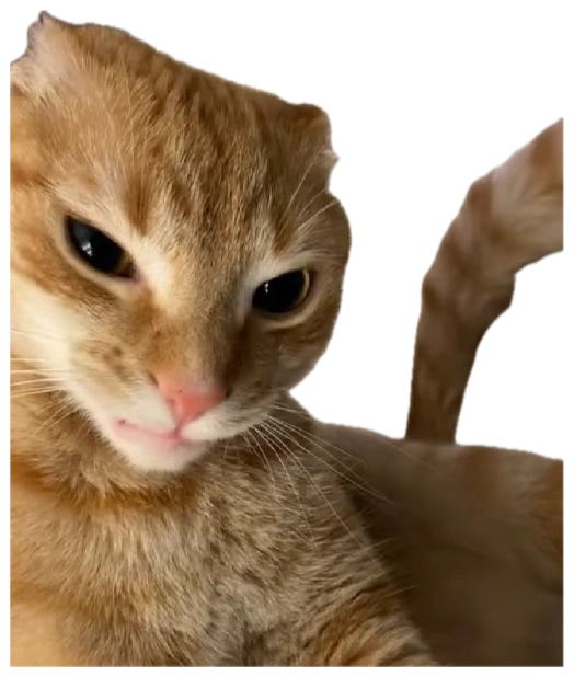 Orange cat with ears folded back giving a deeply unimpressed, over-it stare sticker