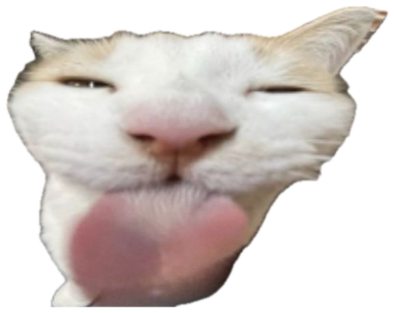 Squinting white cat with its tongue out over the text 'i care + I asked + based + W' sticker