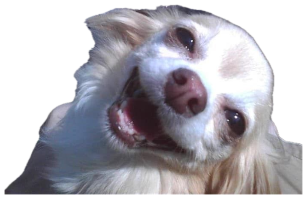 Cream-colored fluffy dog leaning into the camera with a big open-mouthed grin sticker