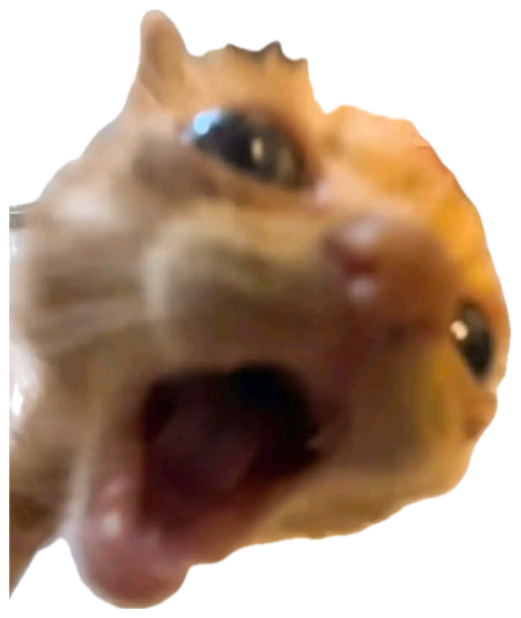 Blurry orange cat lunging at the camera mid-yowl with a wild open mouth sticker