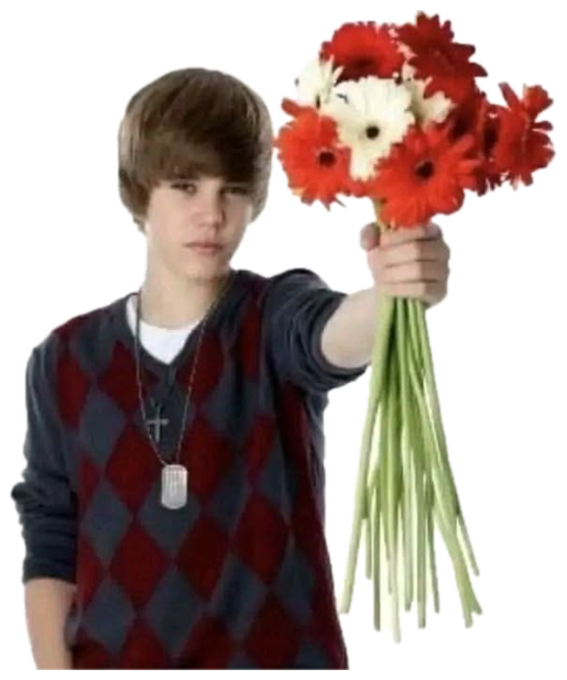 Young Justin Bieber deadpan in an argyle sweater, thrusting out a bunch of flowers sticker