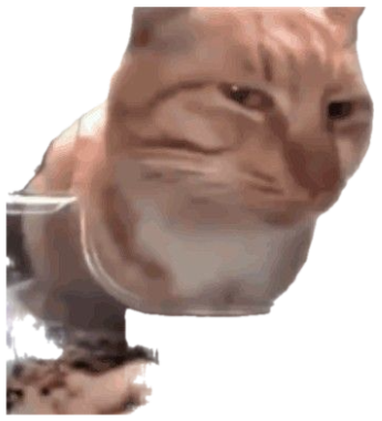 Orange cat pausing mid-meal to shoot a suspicious side-eye at the camera sticker