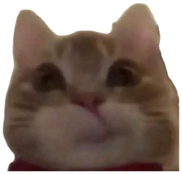 Orange tabby cat staring into the camera with a smug, knowing little smirk sticker