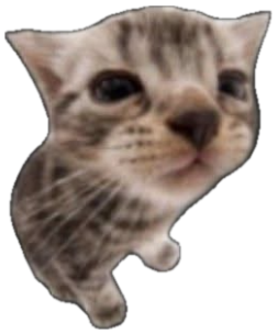 Kitten cutout dropping cheese slices captioned 'my apolocheese' sticker