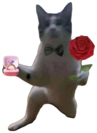 Gray and white cat in a bow tie holding a ring box and a red rose like a proposal sticker