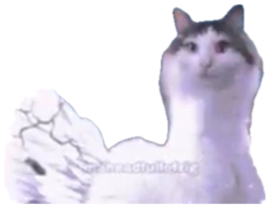Cat with white angel wings over a moonlit sea captioned 'we are goonected' sticker
