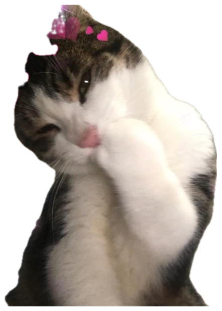 Tabby cat covering its face with a paw under a pink hearts-and-sparkles filter sticker