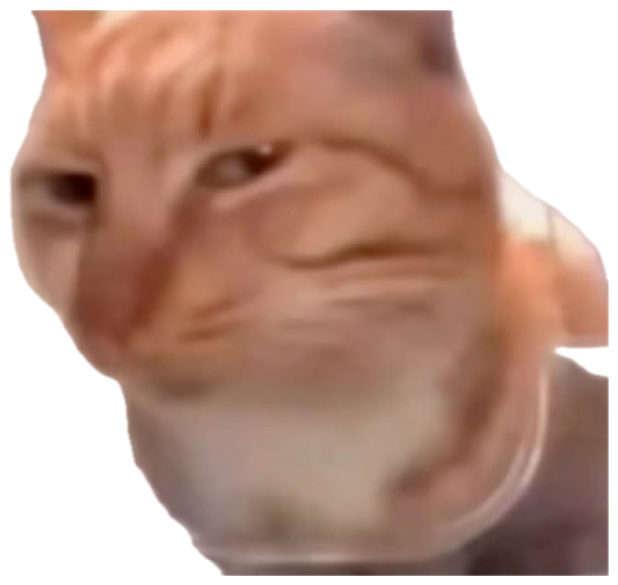Orange cat leaning into the camera with a sly, up-to-something smirk sticker