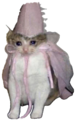 Tiny kitten dressed in a pink cone hat and gown standing awkwardly on the floor sticker