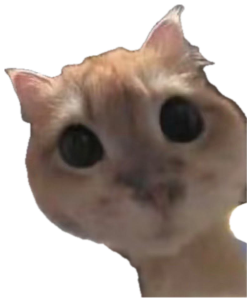 Orange cat leaning into the camera with big bug-eyes and a blank stare sticker