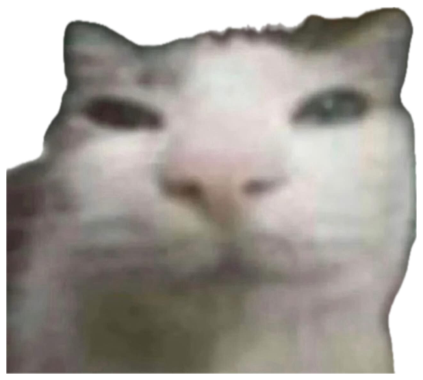 Blurry side-eyeing cat captioned 'my dentist after i eat their equipment' sticker